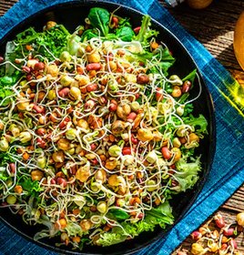 Healthy Sprouts @herbs